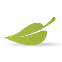 Opieka dla Seniora